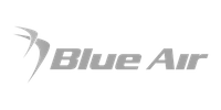 0006 BlueAir 1 1